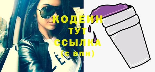 индика Нефтегорск