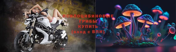 индика Нефтегорск