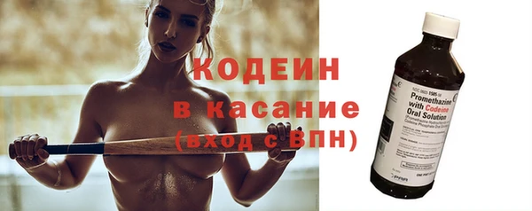 индика Нефтегорск