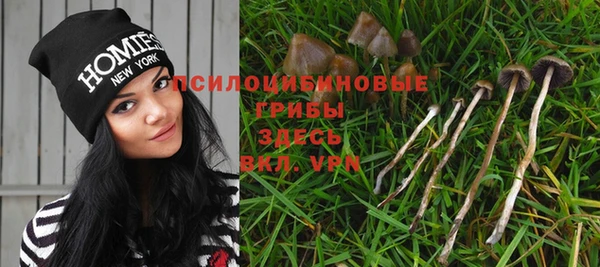 гидра Новокубанск