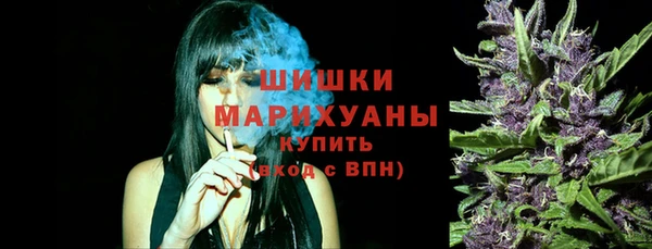 гидра Новокубанск