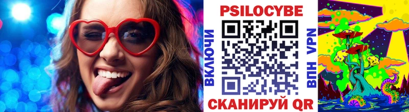 Псилоцибиновые грибы мицелий  Порхов 